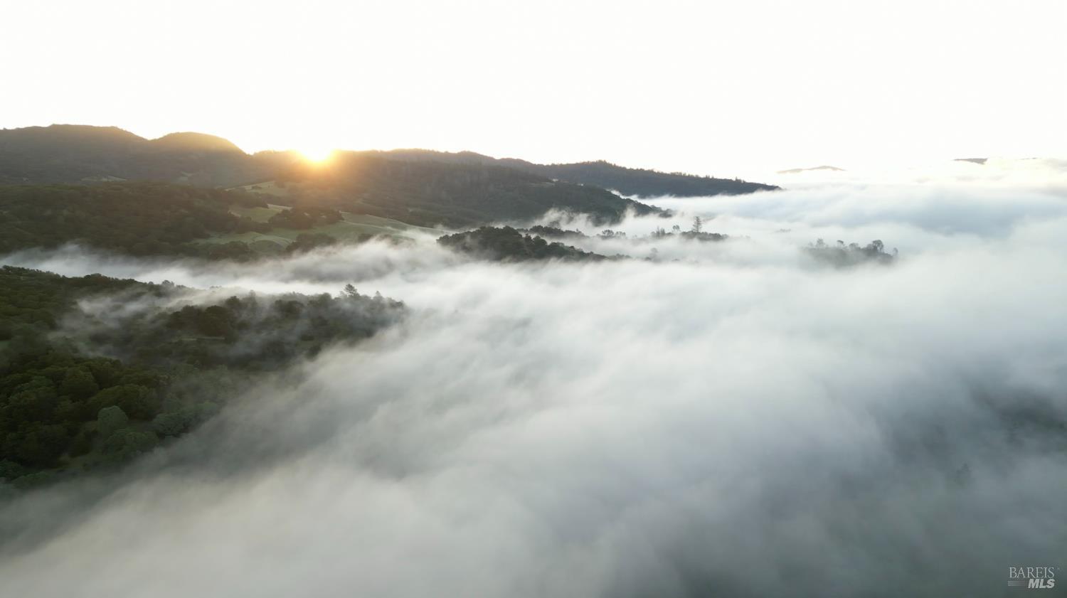 A Neighborhood to Know: St. Helena