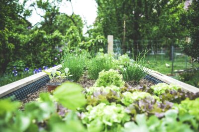 Summer Home Maintenance