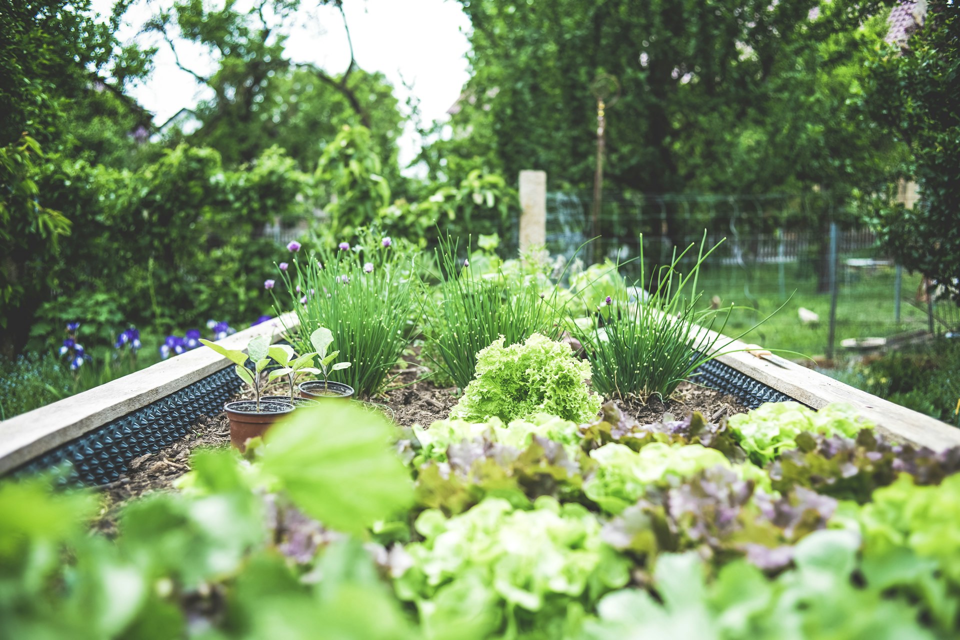 Summer Home Maintenance